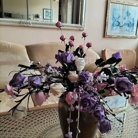 아파트 90m2, 8 Os, 2 Salony, 2 Sypialnie, Centrum